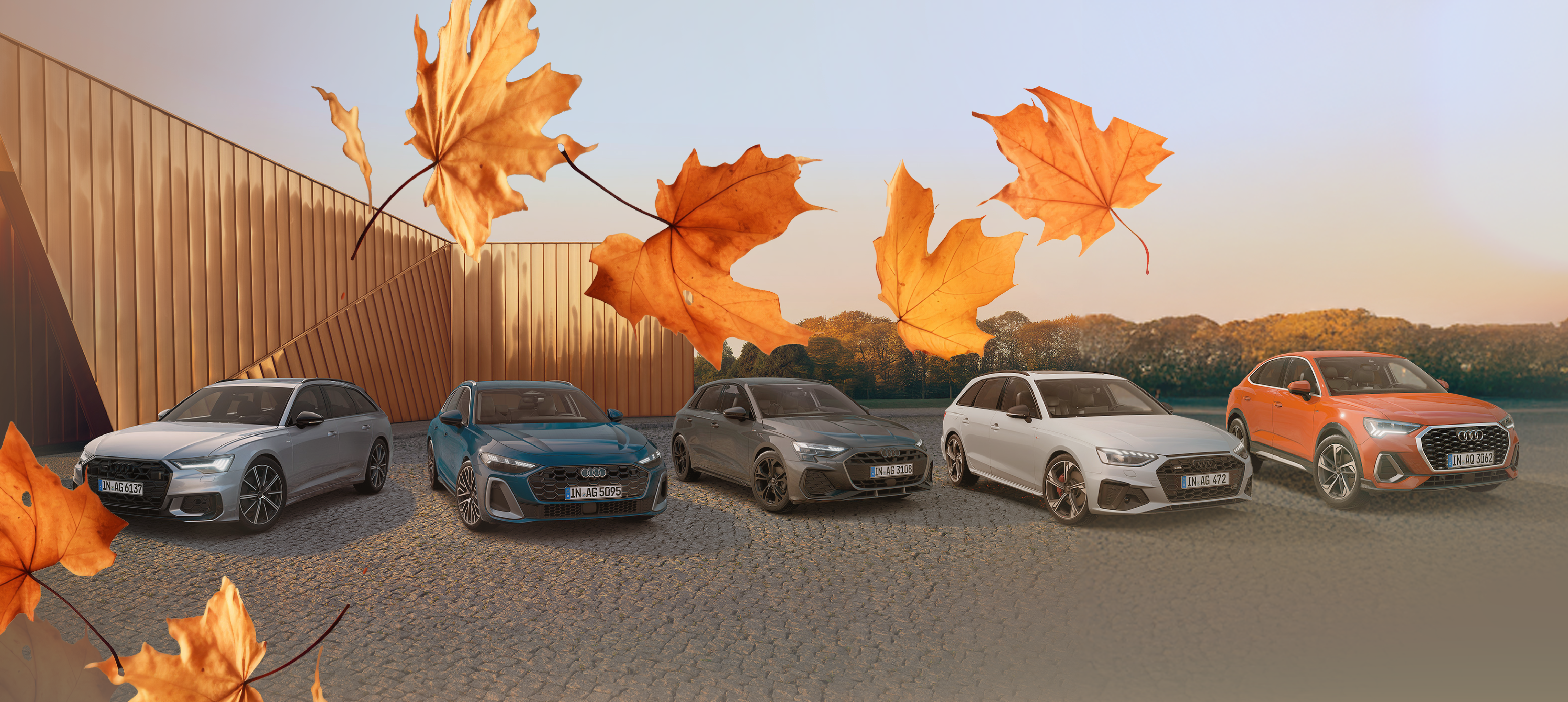 ASW-754_Audi-GWplus_Herbst