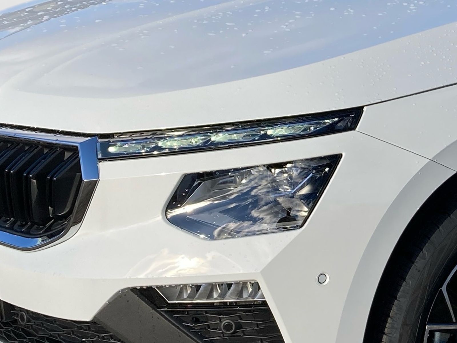 Fahrzeugabbildung SKODA Kamiq Tour 1,5TSI 150PS DSG Kamera SHZ ACC Navi