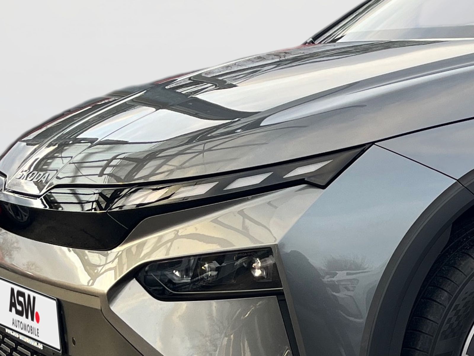 Fahrzeugabbildung SKODA Elroq 55kWh 125kW 19" Navi Kamera PDC ACC SH AHK