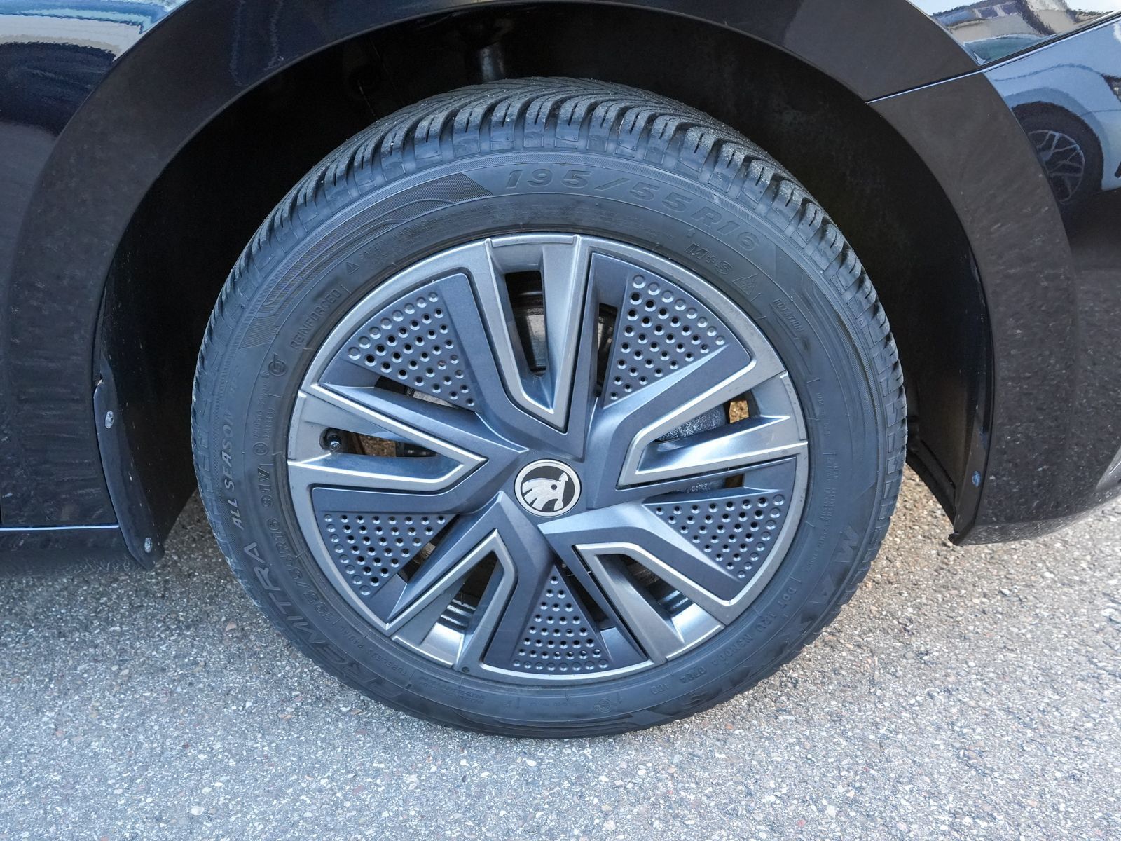 Fahrzeugabbildung SKODA Fabia Selection 1.0TSI DSG Navi LED ACC RFK Pano
