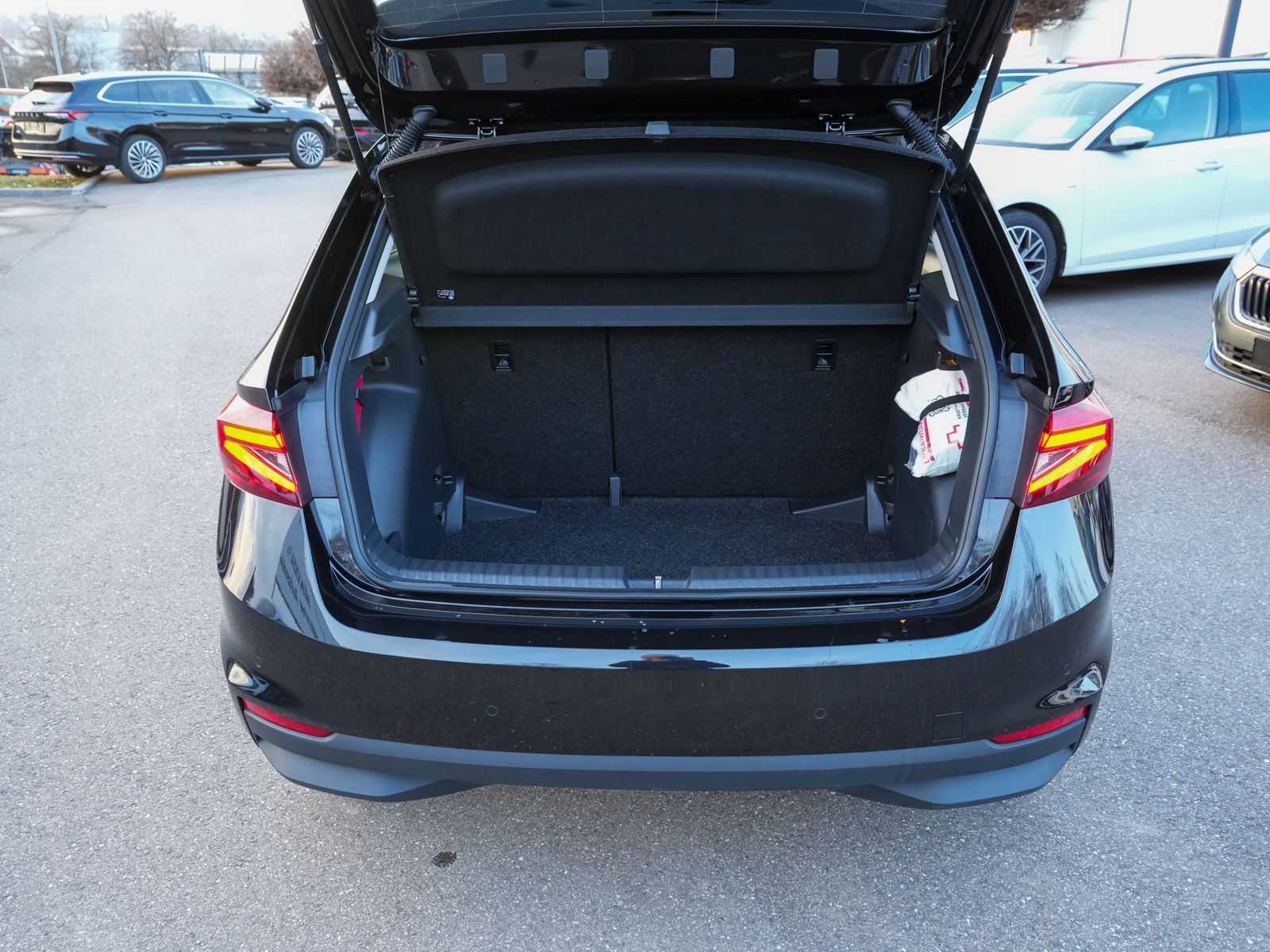 Fahrzeugabbildung SKODA Fabia Selection 1.0TSI DSG Navi LED ACC RFK Pano