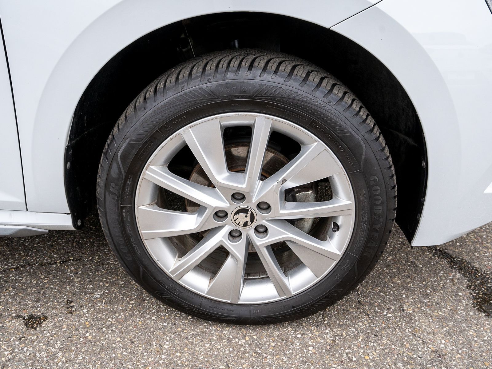 Fahrzeugabbildung SKODA Kamiq Style 1.5 TSI DSG LED Navi RFK ACC SHZ AHK