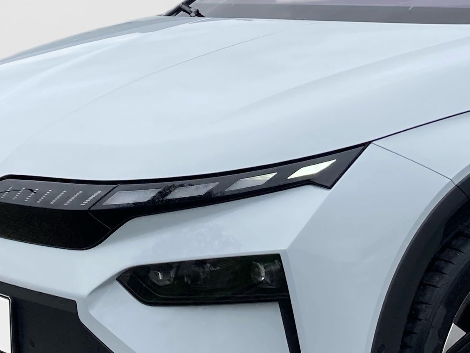 Fahrzeugabbildung SKODA Elroq First Edition 82kWh 285PS ACC 360° SHZ AHK