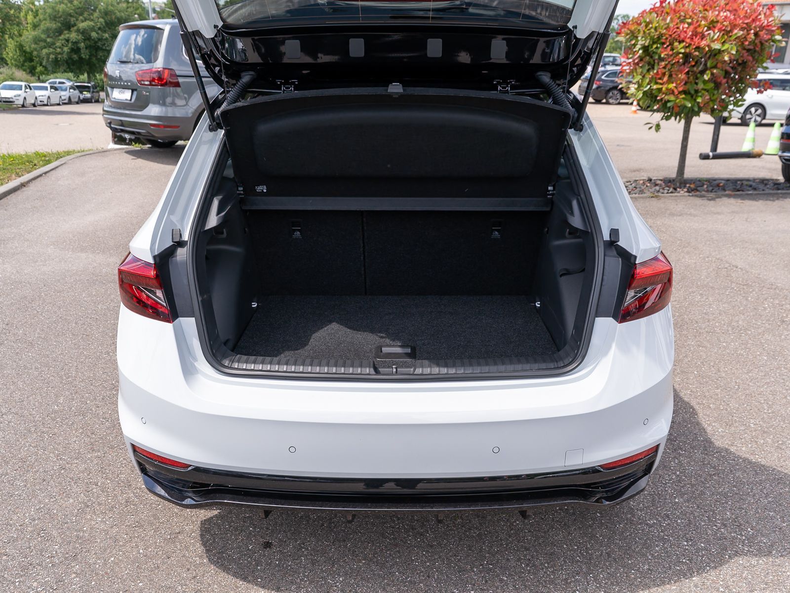 Fahrzeugabbildung SKODA Fabia Monte Carlo 1,0 TSI LED NAVI RFK VC ACC