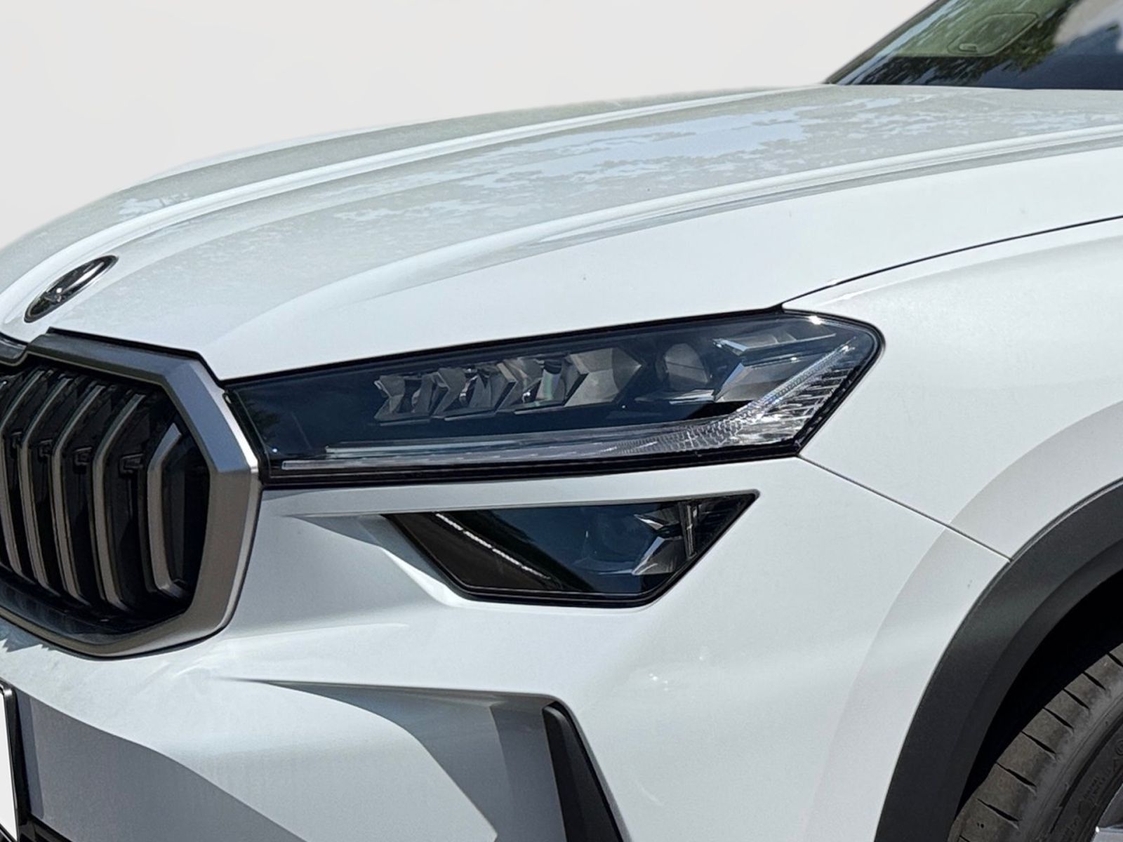 Fahrzeugabbildung SKODA Kodiaq Selection 2,0 TDI 193PS 4x4 Pano ACC AHK