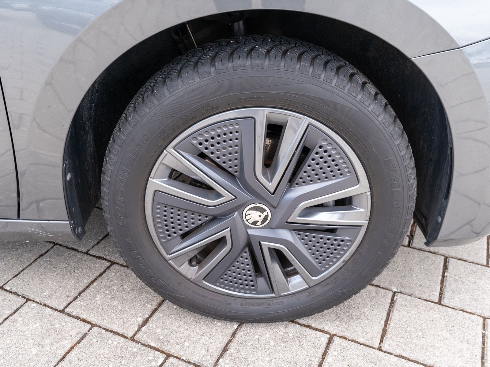 Fahrzeugabbildung SKODA Fabia Selection 1.0TSI DSG LED Navi PANO RFK VC