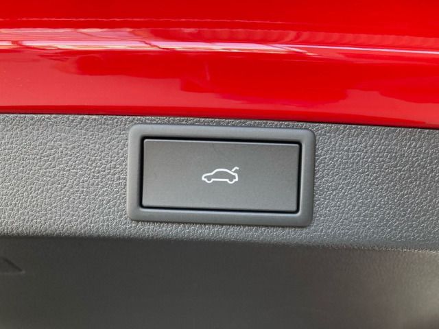 Fahrzeugabbildung SKODA Octavia Combi RS 2,0 TSI 265PS DSG 360° ACC AHK