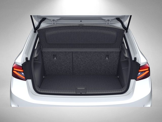 Fahrzeugabbildung SKODA Fabia Tour 1,0 MPI 80PS SHZ PDC LED 50l Tank