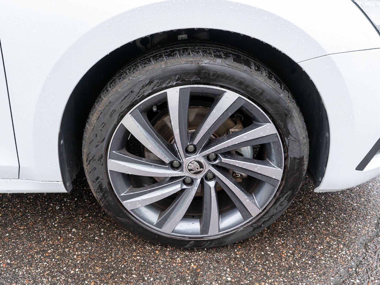 Fahrzeugabbildung SKODA Octavia Combi iV CLEVER 1.4 TSI DSG LED Navi AHK