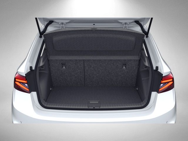 Fahrzeugabbildung SKODA Fabia Tour 1,0 TSI 115PS DSG ACC SHZ Kamera PDC