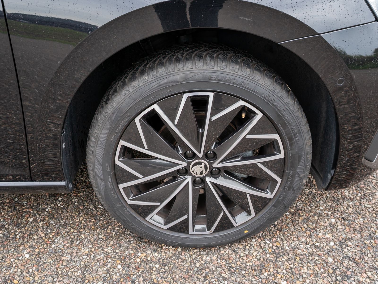 Fahrzeugabbildung SKODA Scala Selection 1.0TSI DSG LED Navi RFK PANO ACC