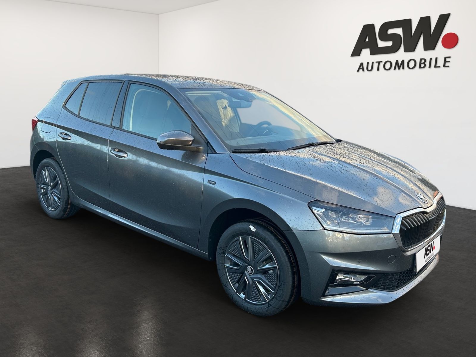 Fahrzeugabbildung SKODA Fabia Tour 1,0 TSI 115PS DSG ACC SHZ Kamera AHK