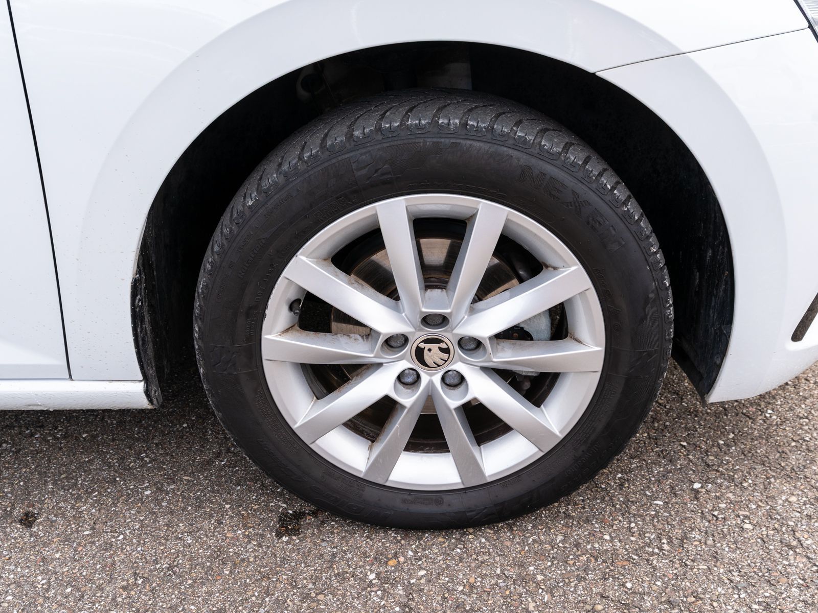 Fahrzeugabbildung SKODA Scala Ambition 1.0 TSI LED RFK SHZ GRA SmartLink