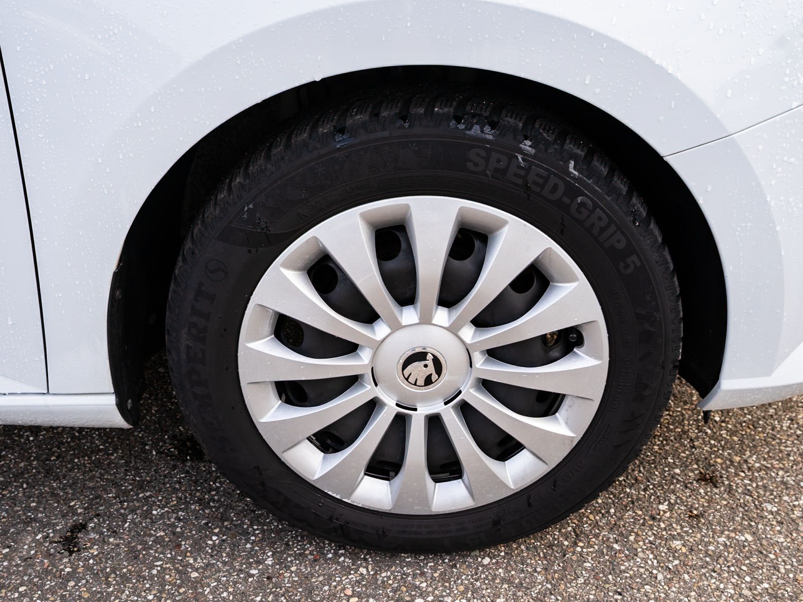 Fahrzeugabbildung SKODA Fabia Combi Ambition 1.0 TSI Navi Klima PDC SHZ