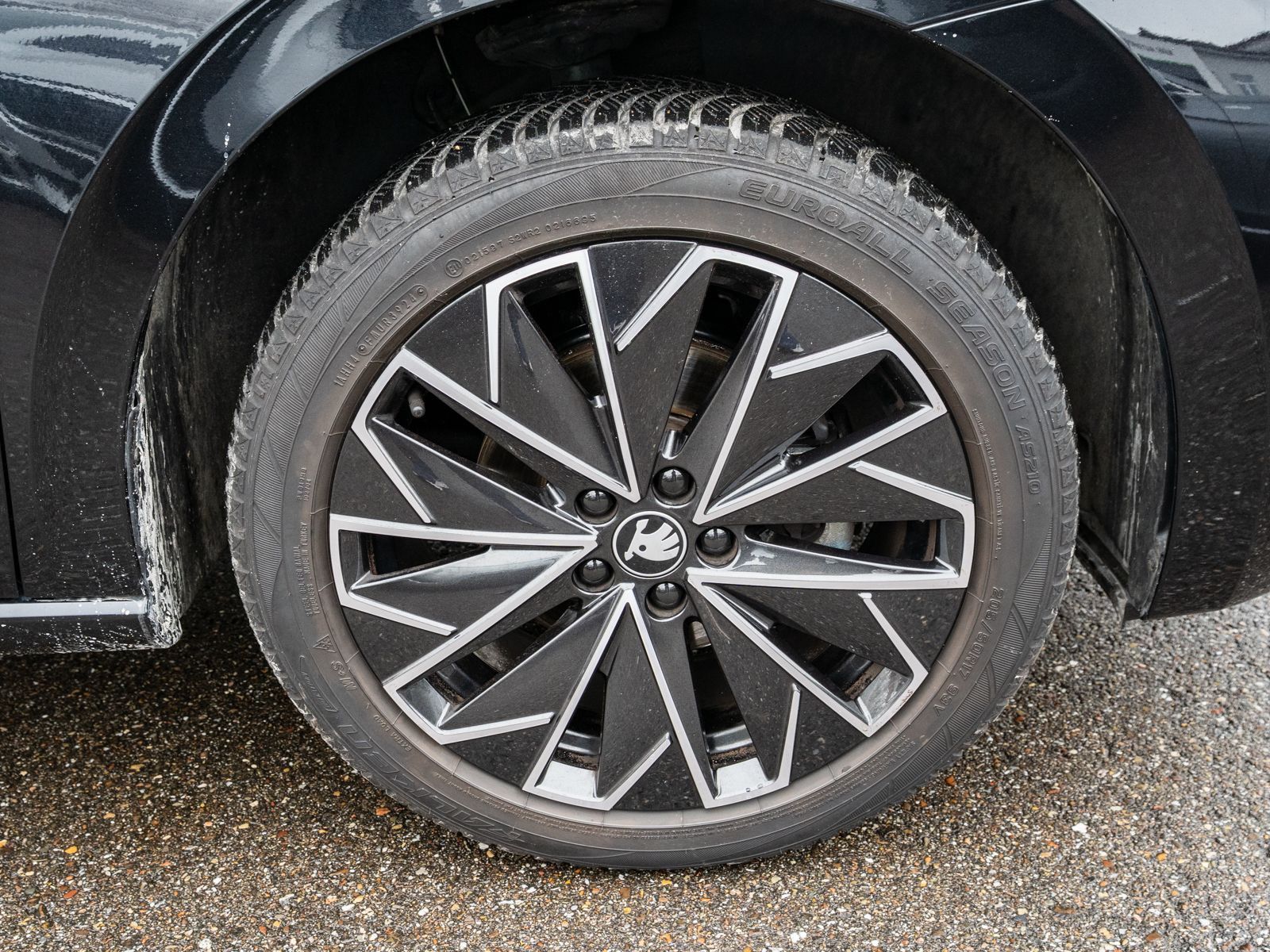 Fahrzeugabbildung SKODA Scala Selection Tour 1.5TSI DSG AHK ACC Navi LED