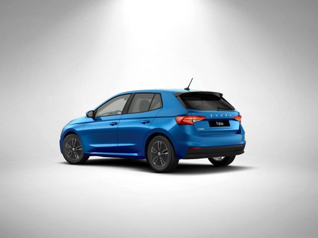 Fahrzeugabbildung SKODA Fabia Balance 1,0 TSI 116PS DSG 505L ACC SHZ PDC