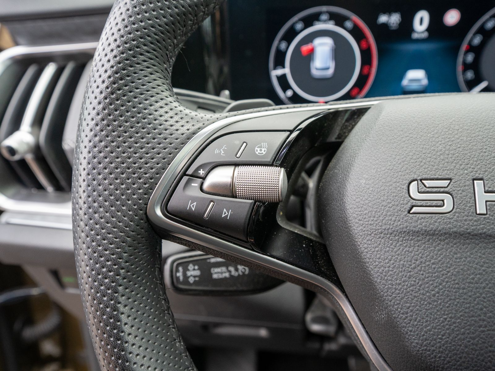 Fahrzeugabbildung SKODA Kodiaq Selection 2.0TDI 4x4 DSG HUD PANO Stdhzg