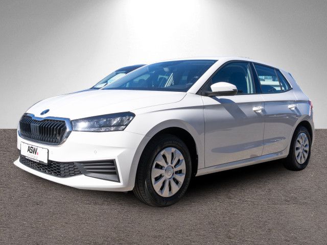 Fahrzeugabbildung SKODA Fabia Ambition 1.0TSI DSG Klima Navi PDC v/h RFK