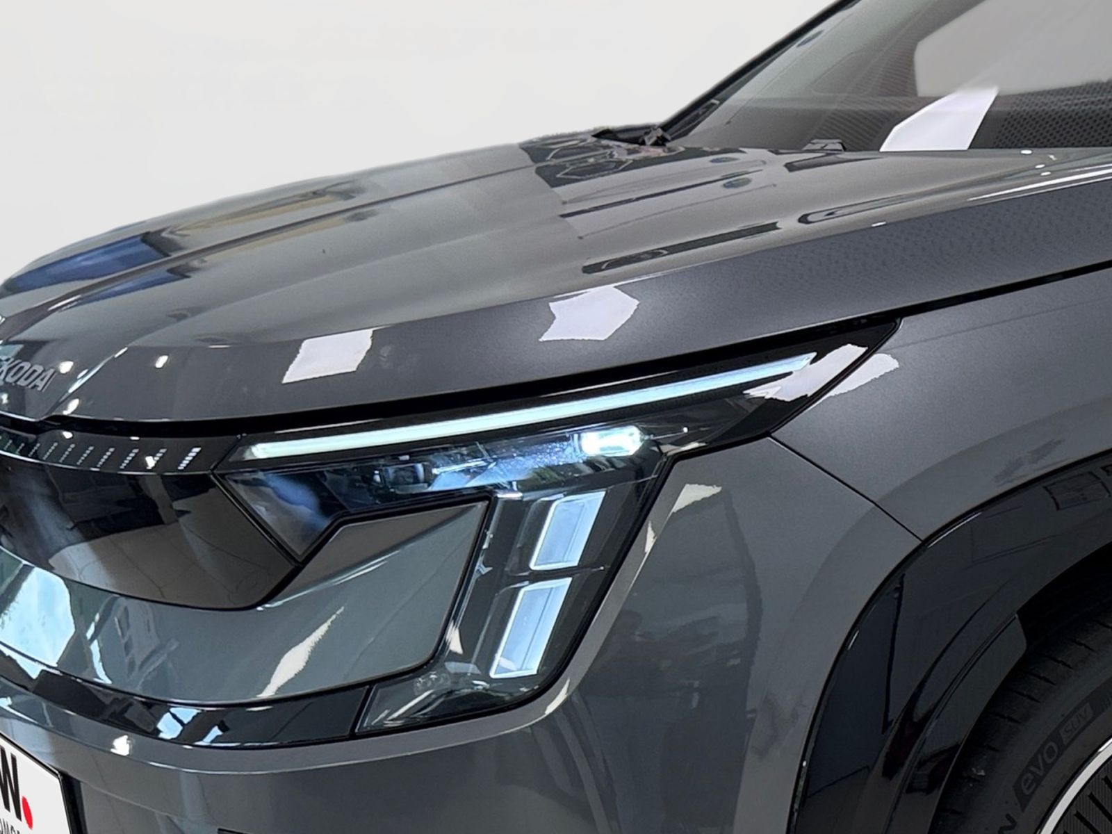 Fahrzeugabbildung SKODA Peaq Selection 90 285PS ACC 360° SONOS SHZ AHK