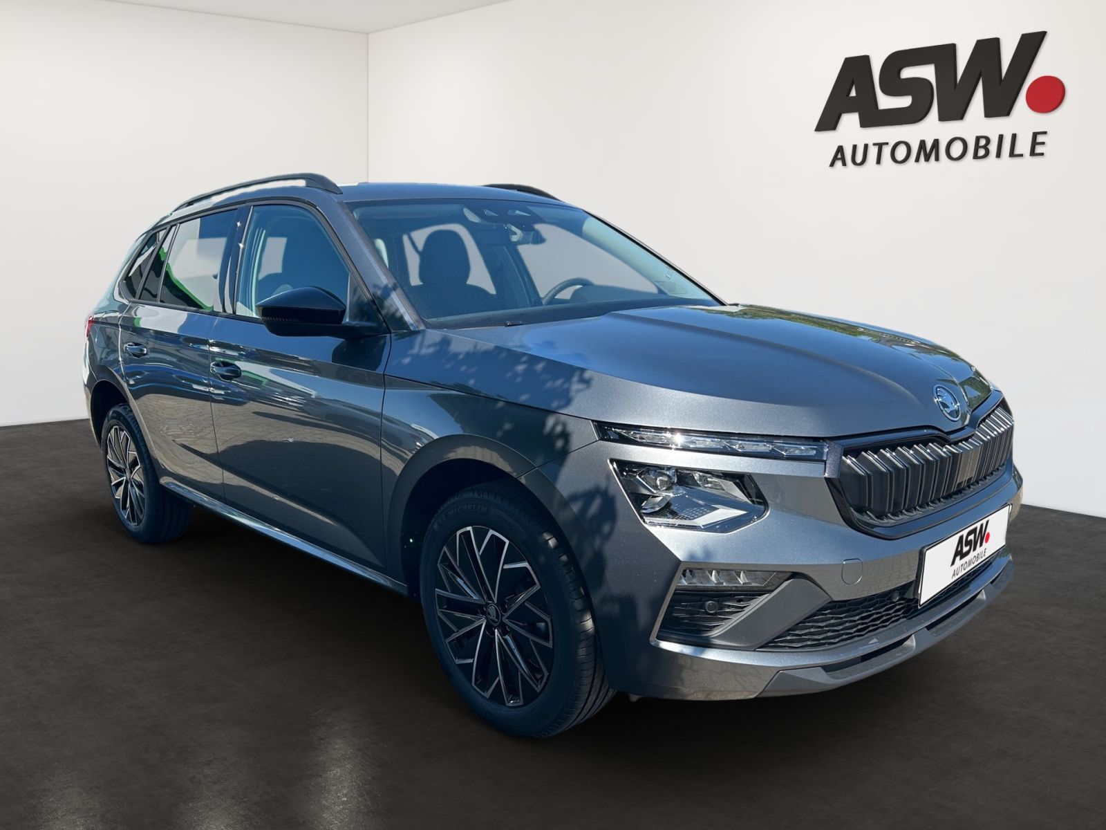 Fahrzeugabbildung SKODA Kamiq Balance 1,0 TSI 115PS DSG ACC RFK SHZ AHK