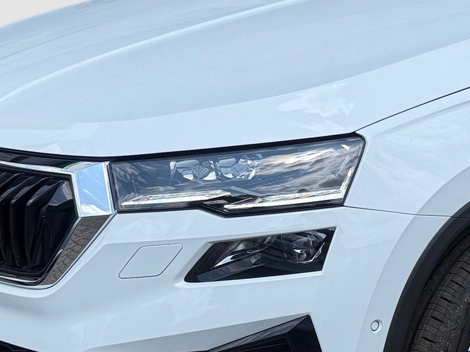 Fahrzeugabbildung SKODA Karoq Balance 1,5 TSI 150PS DSG ACC 360° SHZ AHK