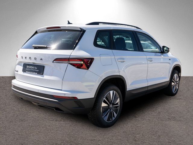 Fahrzeugabbildung SKODA Karoq Tour 2.0TDI DSG LED Nav RFK ACC Stdhzg AHK