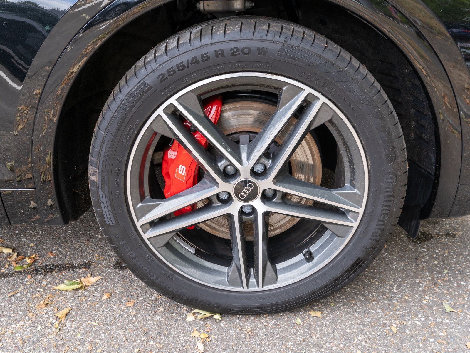 Fahrzeugabbildung Audi SQ5 Sportback 3.0TDI quattro NAVI Matrix Stdhzg