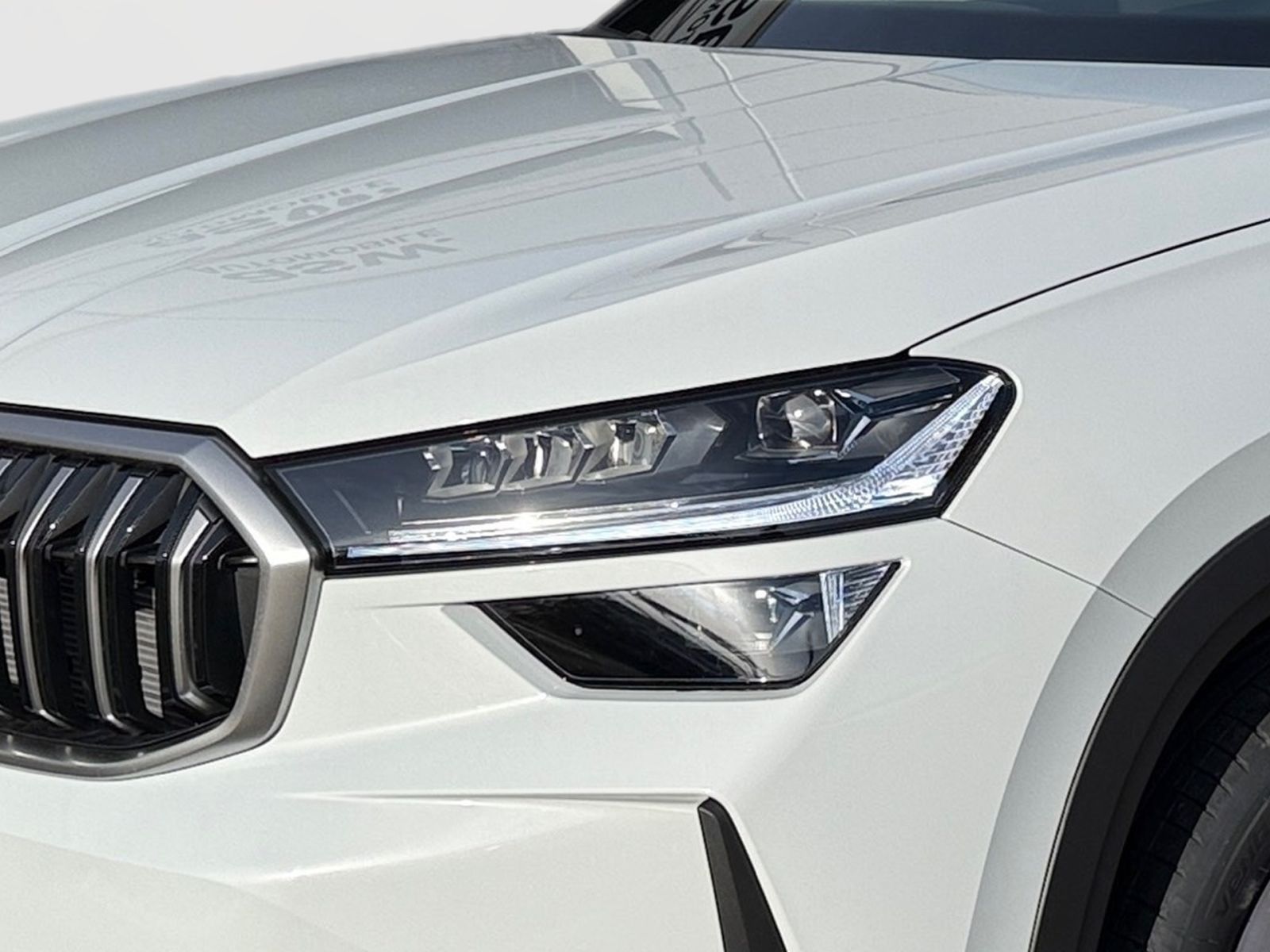 Fahrzeugabbildung SKODA Kodiaq Selection 2,0 TDI 193PS DSG 4x4 360° AHK