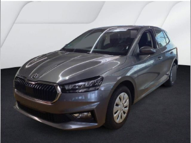 Fahrzeugabbildung SKODA Fabia Selection 1.0 TSI DSG LED Navi ACC SHZ PDC